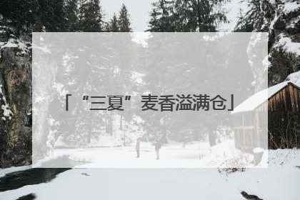 “三夏”麦香溢满仓